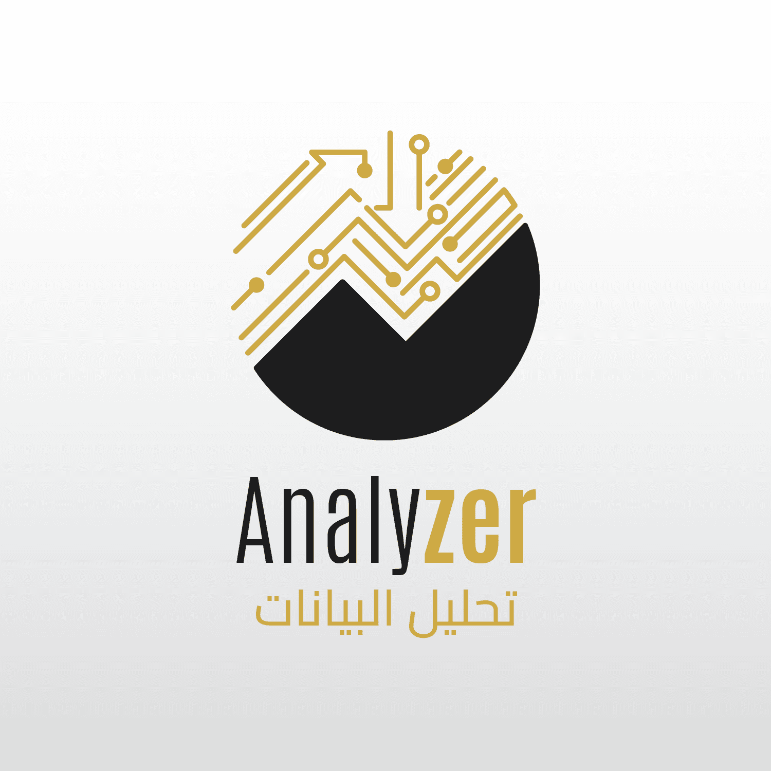 انلايزر - اداة تحليل البيانات