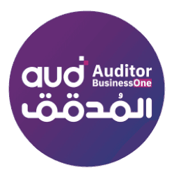 داراتش المدقق المحاسبي