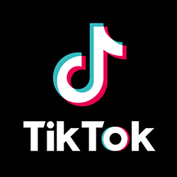 TikTok Conversion API